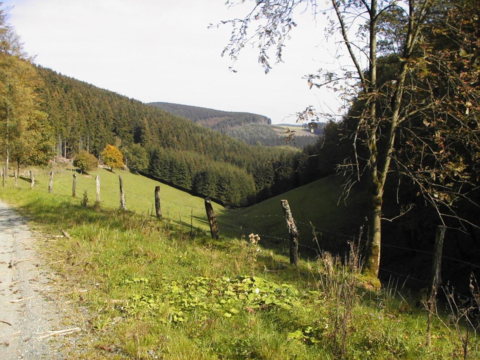 Hotel Sonneneck Winterberg Zewnętrze zdjęcie